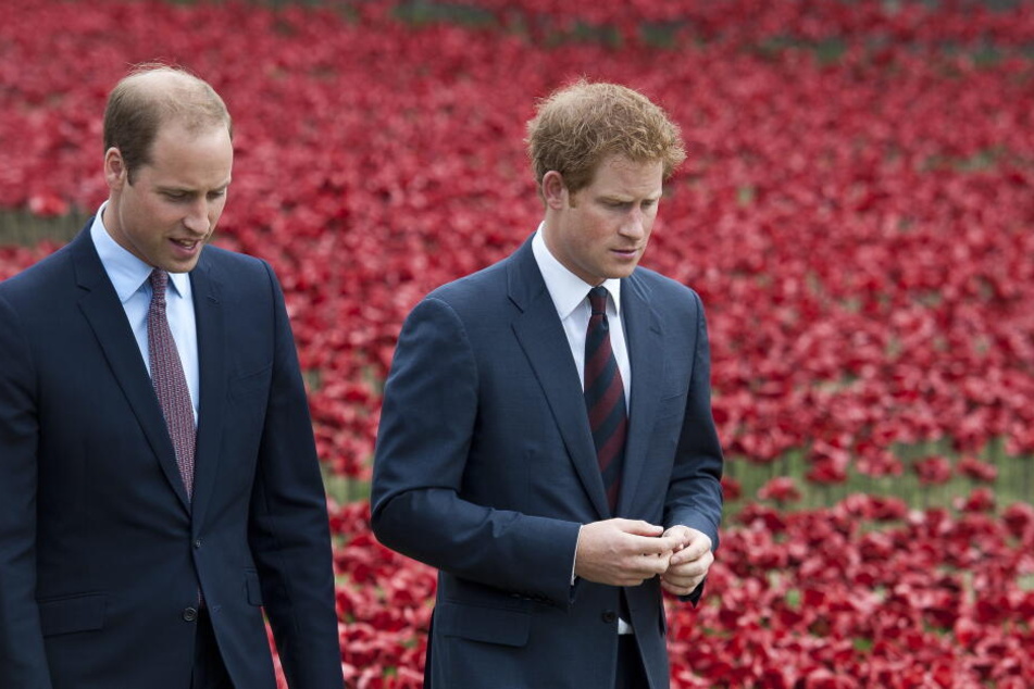 Prinz Harry (links) und sein Bruder William (rechts)