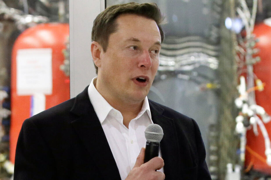Elon Musk (48) spendete eine Million US-Dollar, was einer Million Bäumen entspricht.