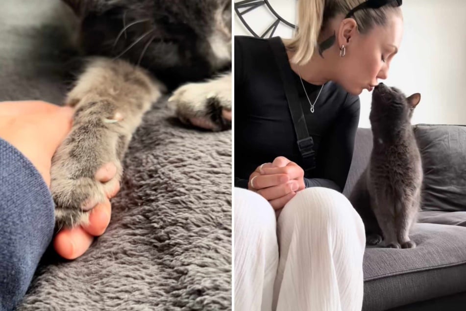 Eleanor and Elvis have now been together for over a year, and the cat mom says she has never regretted her decision to adopt her sweet kitty.