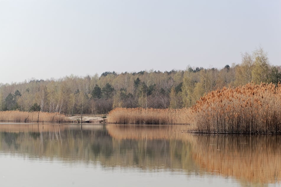 Der Ludwigsee bei Petersroda. Die Gemeinde wird von Wölfen heimgesucht.