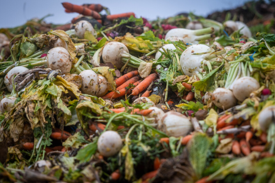 Mit weggeworfenem Gemüse landen häufig auch Gummis und Plastik in den Kompostieranlagen.