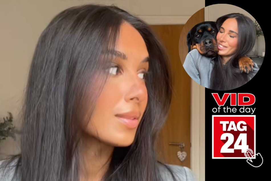 viral videos: Viral Video of the Day for April 4, 2023: Needy Rottie