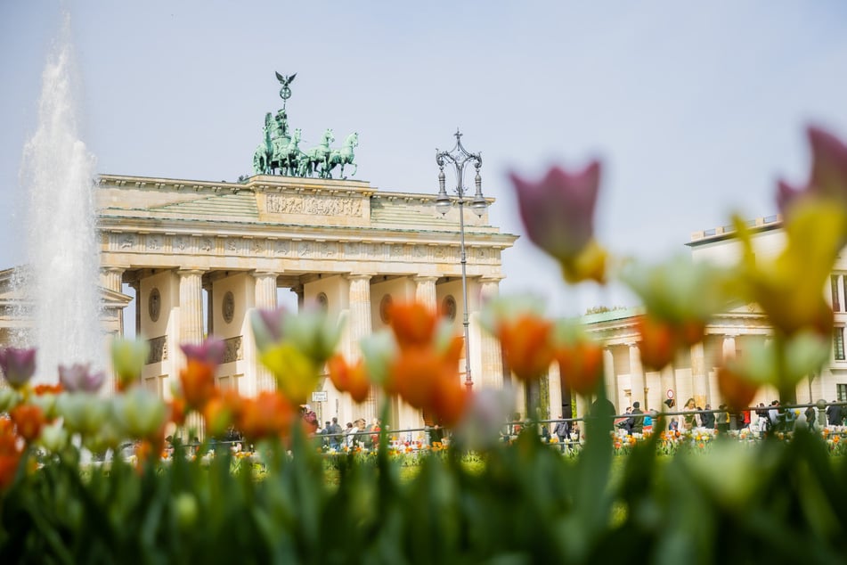 Wetter in Berlin und Brandenburg: Der Frühling klopft an der Tür