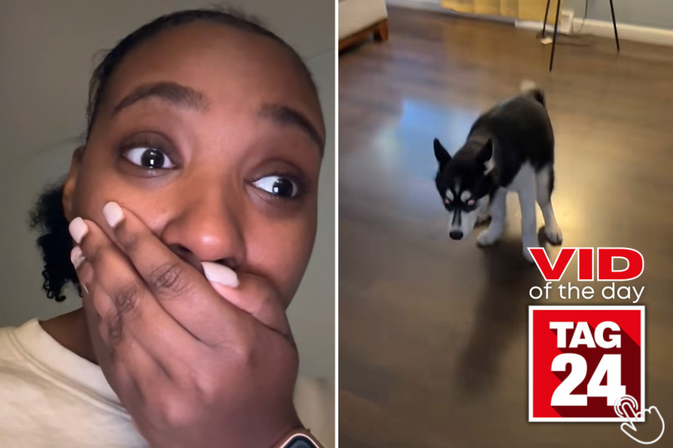 Today's Viral Video of the Day features a poor pup with some stomach issues and his owner's hysterical reaction!
