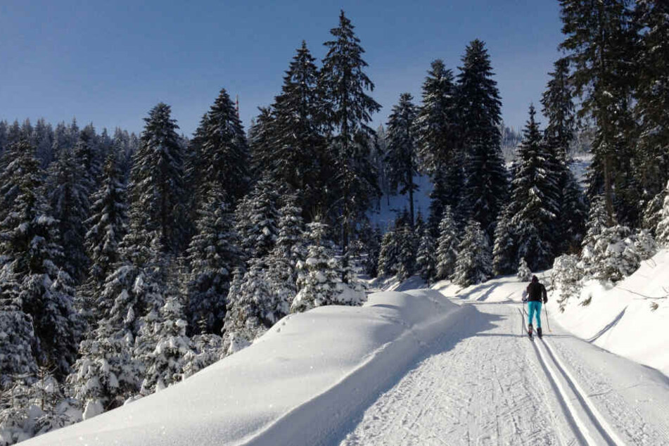 Als sich das Wetter besserte, konnten die Sportler vom dem Hornisgrinde (Archivbild) absteigen.