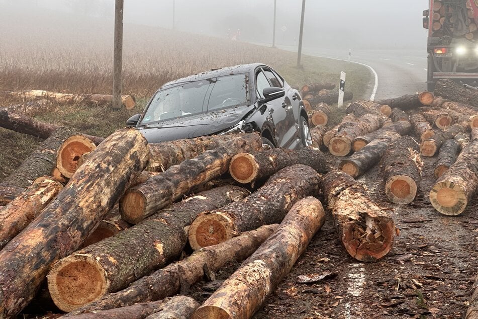 Das Auto wurde von den Stämmen begraben.