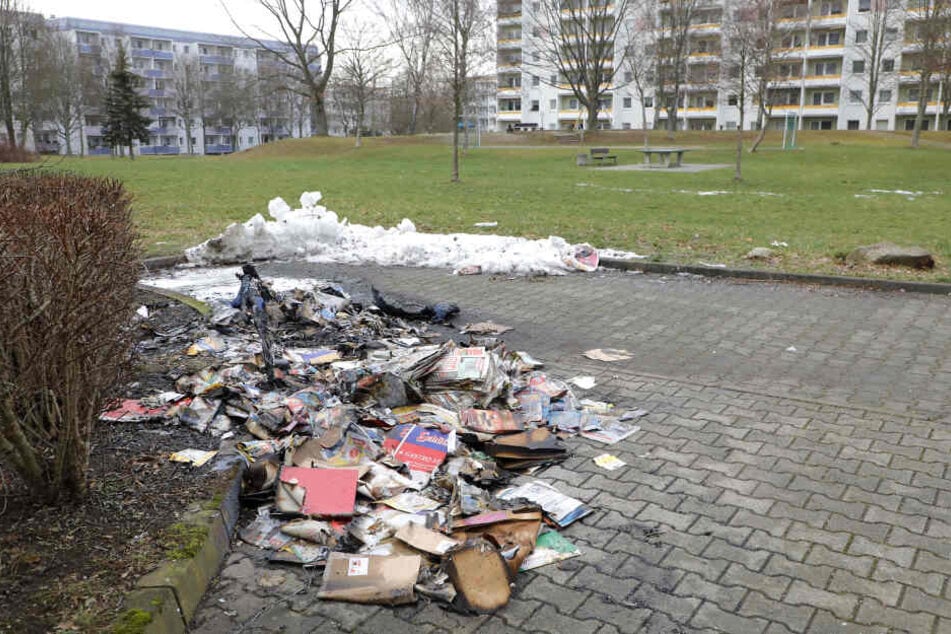In der Nacht zu Donnerstag gingen drei Container in der Dr.-Salvador-Allende-Straße in Flammen auf.