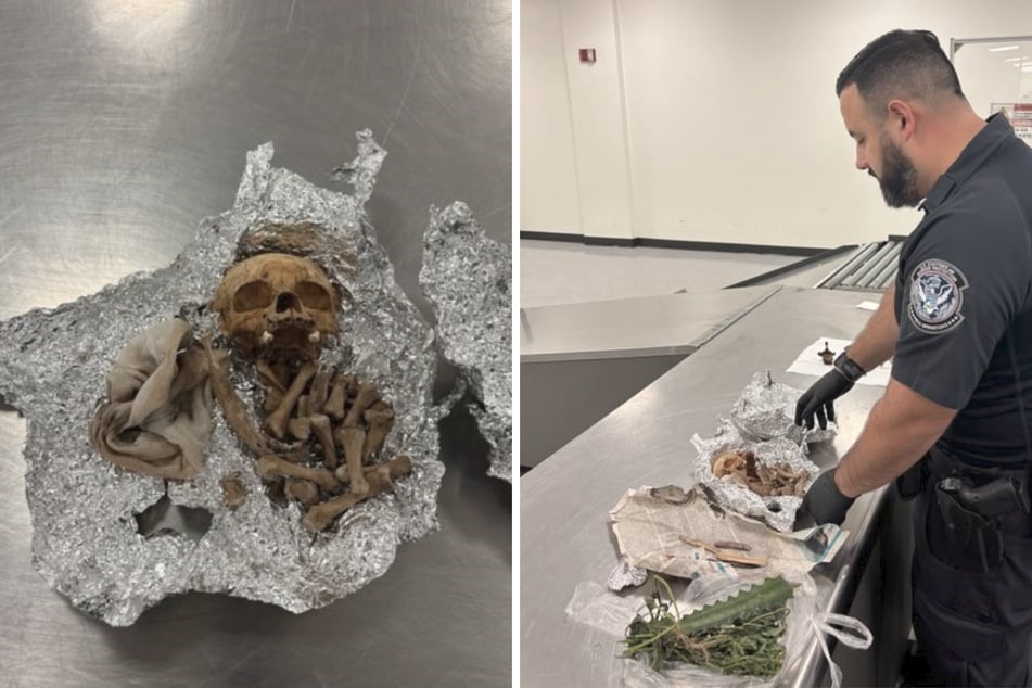 Am Tampa International Airport in Florida entdeckten Zollbeamte menschliche Überreste.