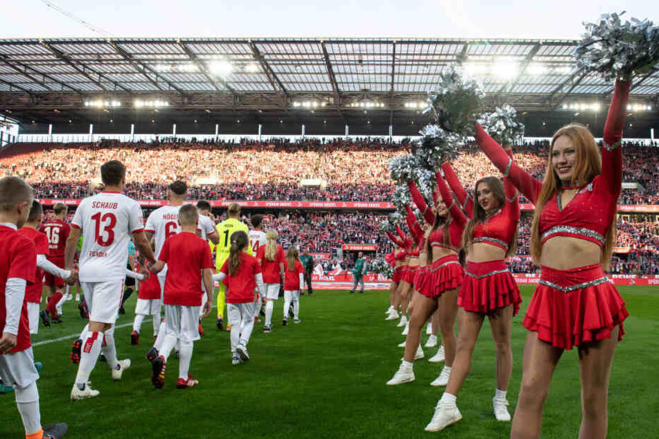 Die Cheerleader des 1. FC Köln sind immer ein echter Hingucker.