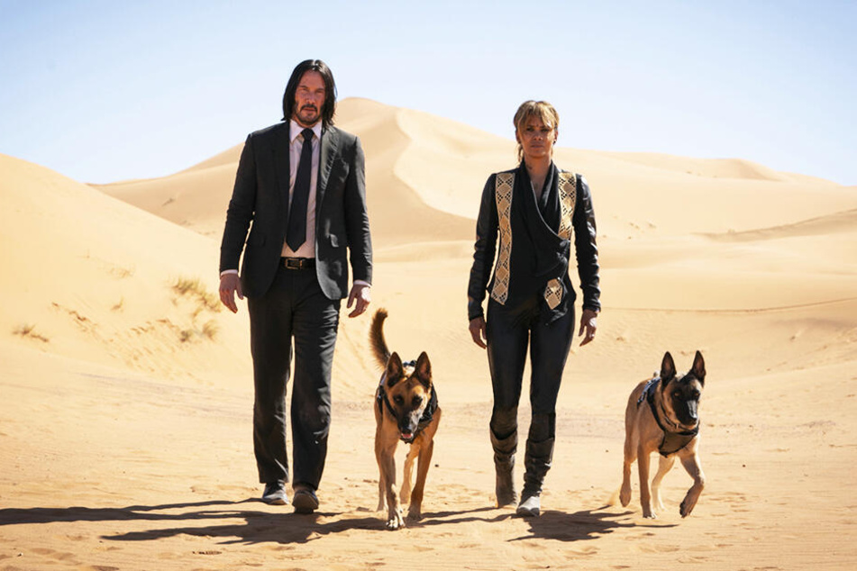 John Wick (l., Keanu Reeves) mit Sofia (Halle Berry) und ihren zwei Malinois-Schäferhunden in der Sahara-Wüste.