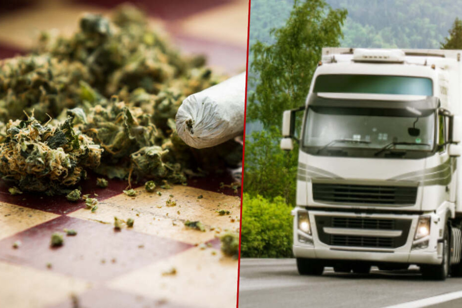 Einsatzkräfte von Landeskriminalamt haben am Freitag einen Lastwagen abgefangen, der rund 250 Kilogramm Marihuana zu einer Lagerhalle in Großwoltersdorf brachte. (Symbolbild/Bildmontage)
