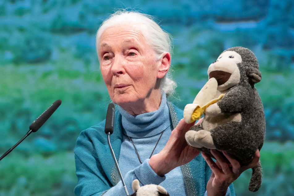 Primatenforscherin Jane Goodall (86) gehört zu den Preisträgern in Chemnitz.
