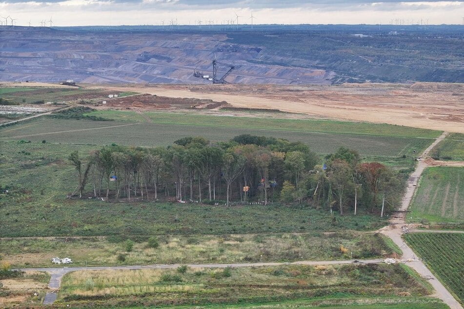 Diese Luftaufnahme zeigt das besetzte Waldstück mit Baumhäusern, im Hintergrund liegt der Tagebau Hambach.