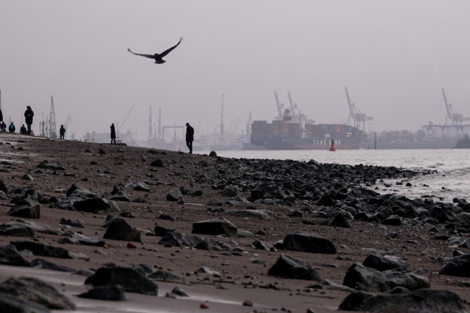 Der Winter in Hamburg präsentiert sich am Elbstrand bei Övelgönne in zahlreichen Grautönen.