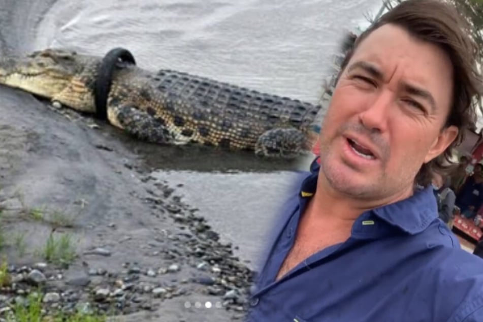 Berühmter Tier-Experte will Krokodil retten, doch das hat andere Pläne