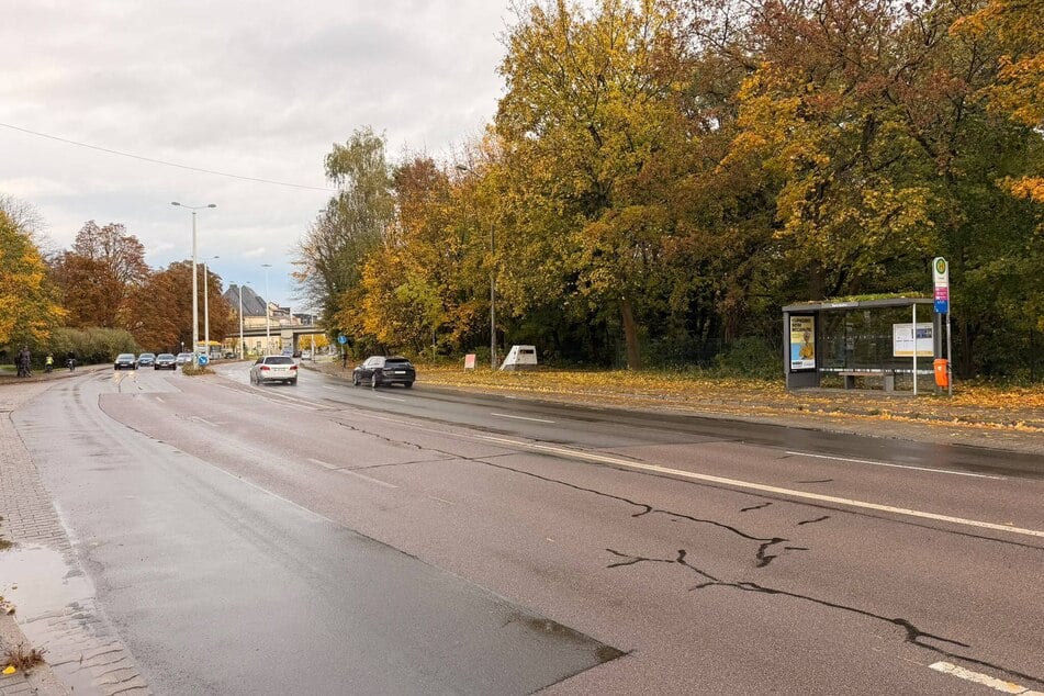 Auf dem Schleußiger Weg werden stadteinwärts teure Fotos verteilt.