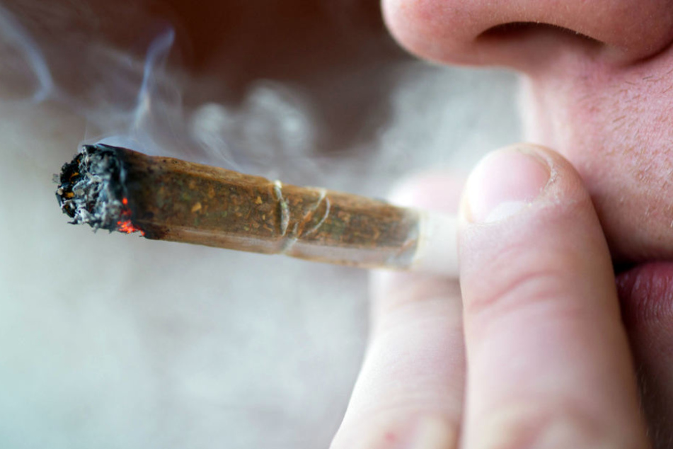 Cannabis-Konsum in jungen Jahren kann schlimme Folgen haben,