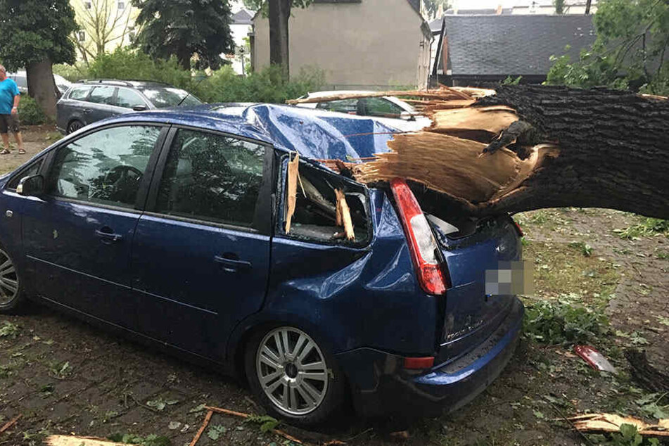 In Königsbrück isind mehrere Bäume umgefallen. Ein Baum liegt auf einem Auto. Ebenfalls ist teilweise der Strom ausgefallen.