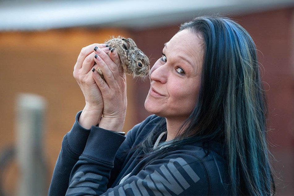 Eileen Kuhn (45) kümmert sich bei der Tierrettung Zwickau um abgegebene Junghasen. Dieser Winzling wiegt gerade einmal 140 Gramm.