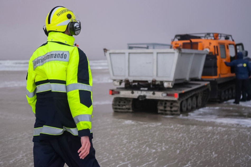 Mitarbeiter des Havariekommandos suchen den Strand von Borkum nach Strandgut des Frachters "MSC Zoe" ab. (Archivbild)