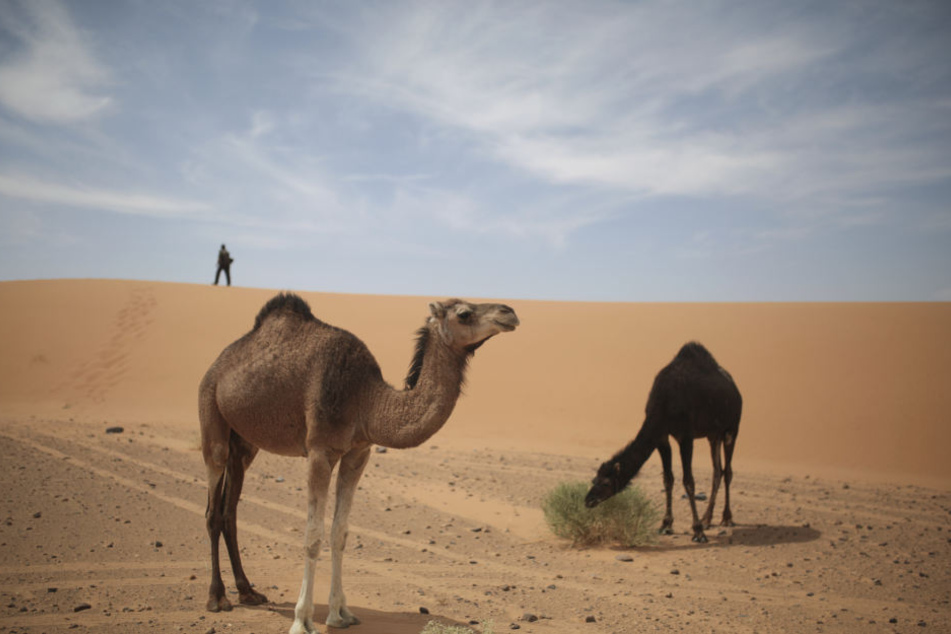 Heiße Wüstenluft aus der Sahara bringt in den Urlaubsländern Spanien, Südfrankreich, Italien und Kroatien bis hin nach Griechenland und in die Türkei Höchstwerte.