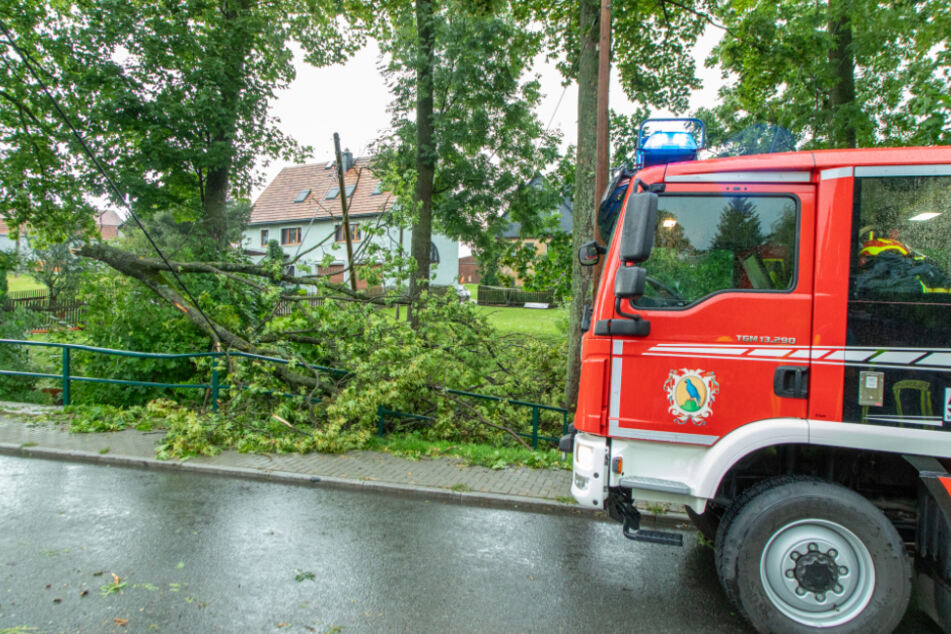 In Zwönitz fiel auf der Thomas-Münzer-Straße ein großer Ast in eine Stromleitung.
