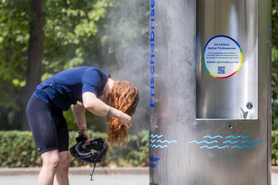 Dresden: Nach Testphase: Kommen die Nebelbrunnen zurück?