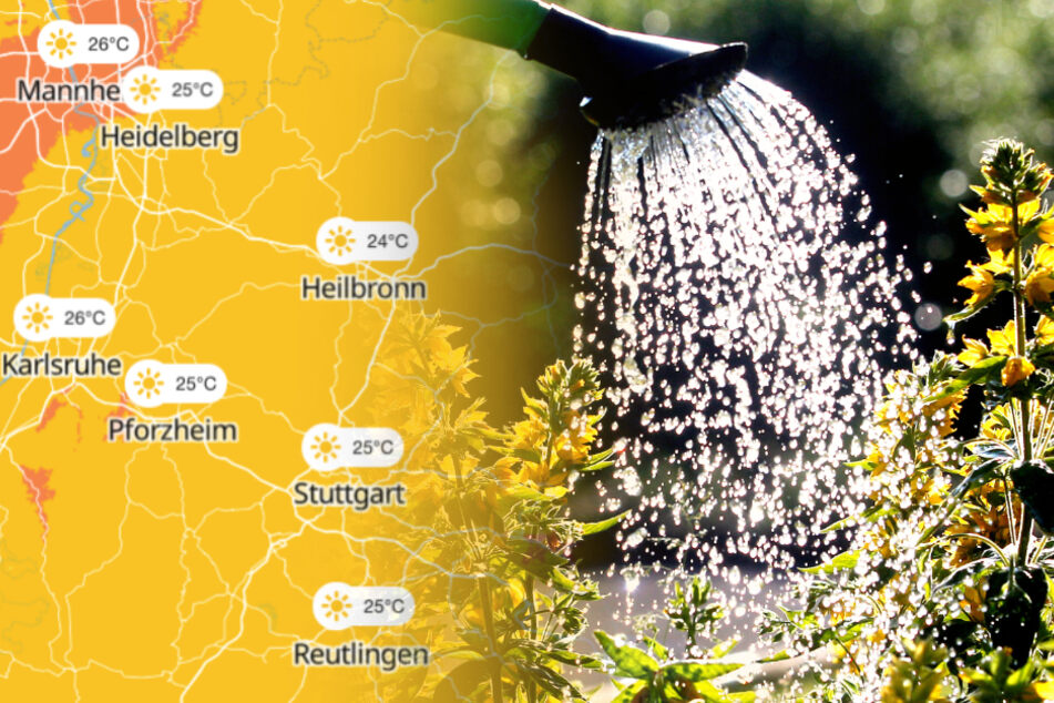 Das Wetter im Ländle wird schwül: Kommen auch Hitzegewitter?