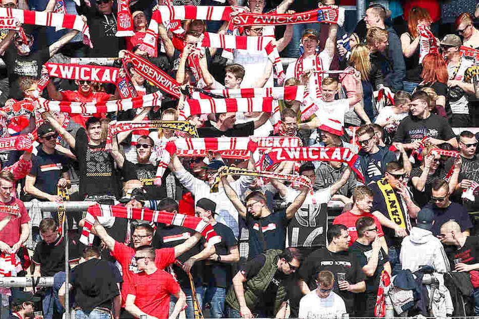 Die Zwickauer Fans sind heiß auf die Dauerkarten. Schon jetzt ist eine Rekordzahl über den Tresen gegangen.
