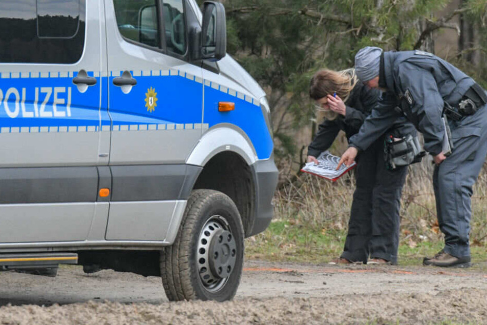 Beamte bei der Suche an einem Waldgebiet in Brandenburg.