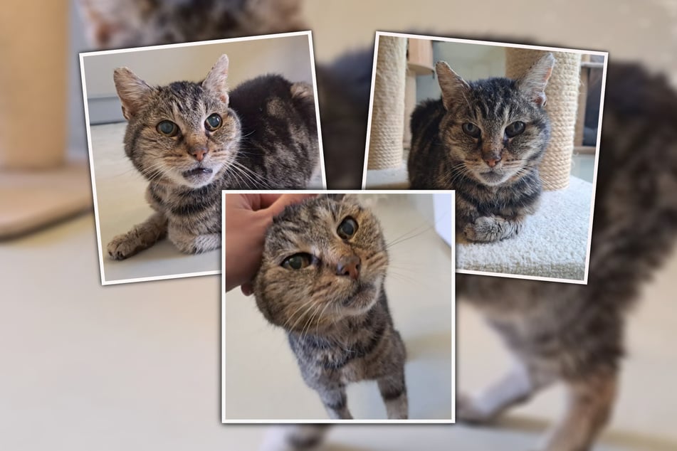 Adelgunde wünscht sich Menschen, die sie so lieben, wie sie ist.