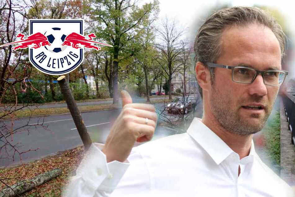 Suff-Crash mit Fahrerflucht: RB-Leipzig-Manager legt vor Polizei Geständnis ab