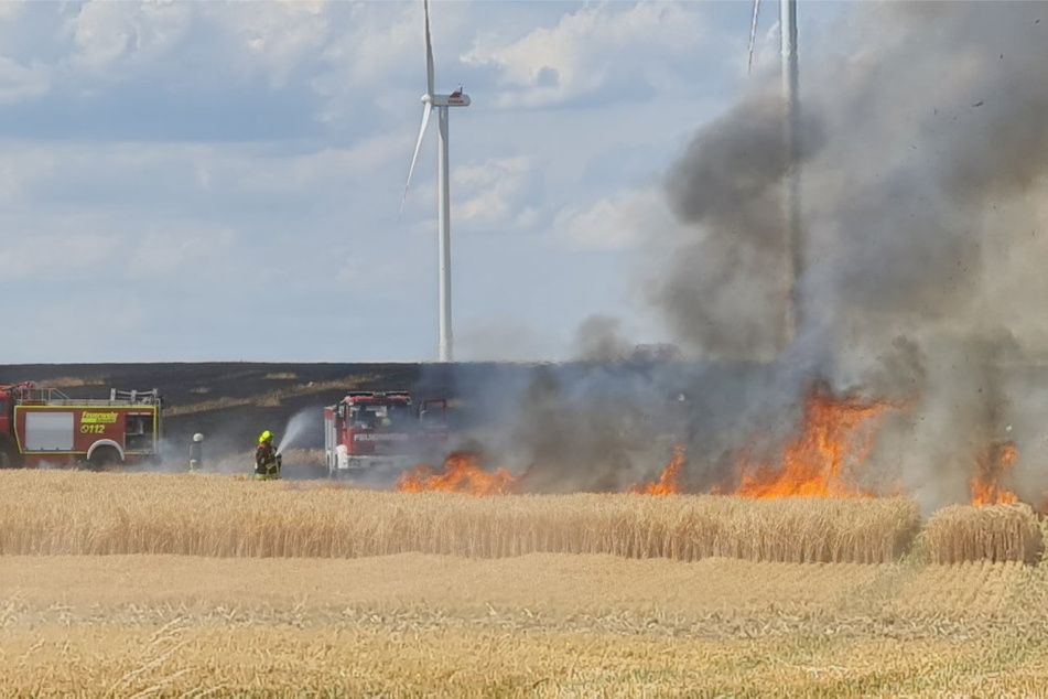 Feuerwehr in Nordsachsen im Einsatz: Vier Hektar Feld stehen in Flammen