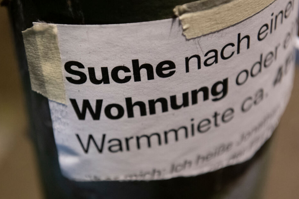 "Suche Wohnung" steht auf dem Zettel an einer Laterne unweit des Gleimtunnels im Berliner Norden.