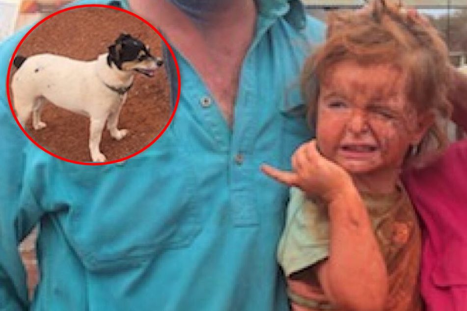 Hund bleibt im Outback an Seite von vermisstem Mädchen (3)