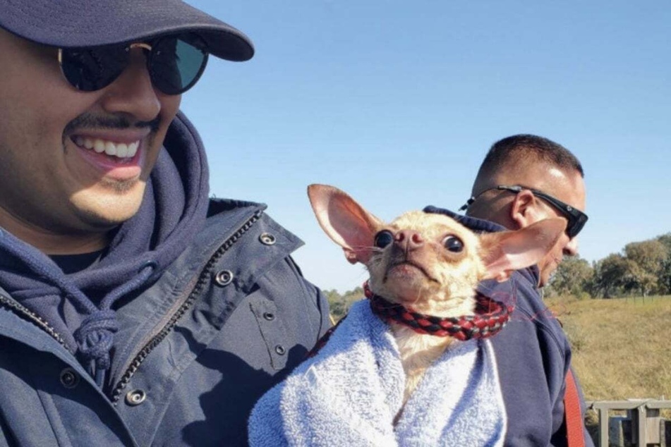 Rescue workers took care of the dog after she was brought back to land.