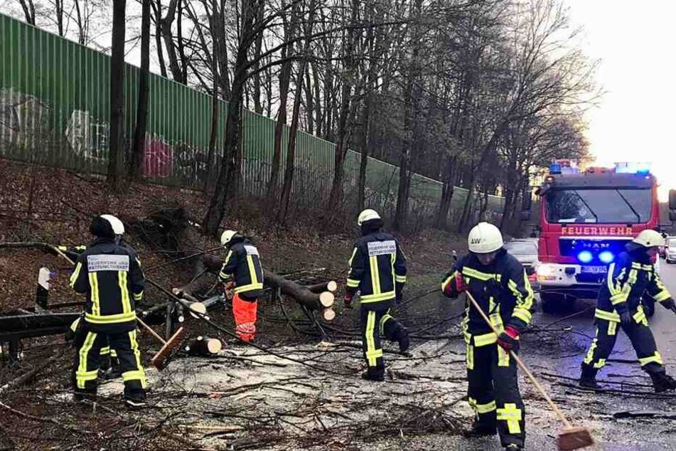 Die Einsatzkräfte hatten alle Hände voll zutun. (Symbolbild)