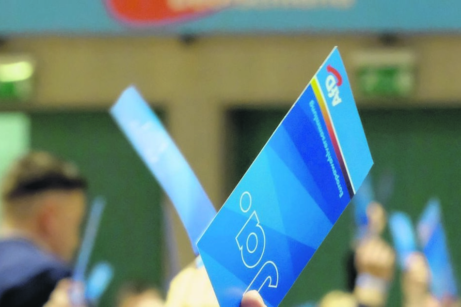 Die AfD - hier eine Stimmkarte auf einem Parteitag - rechnet im Wahljahr mit weiteren Neumitgliedern.