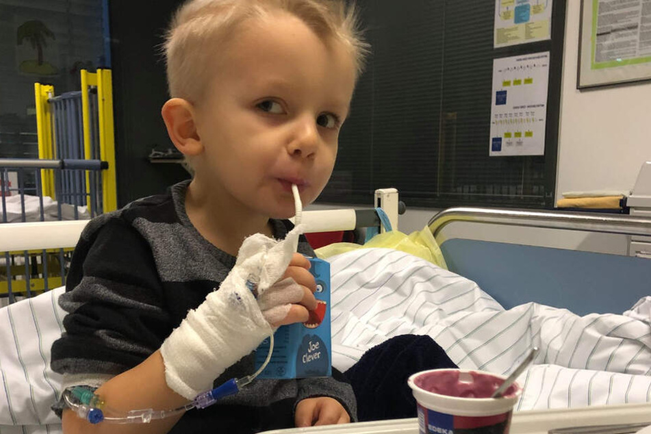 Bei Sammy wurde ein besonders aggressiver Gehirntumor diagnostiziert.