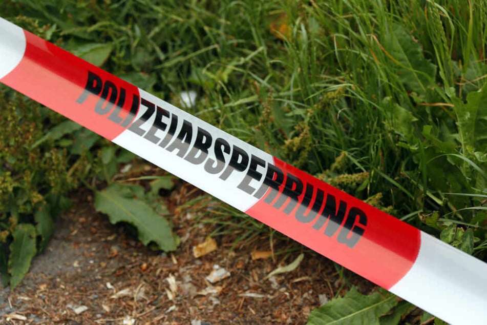 Ein Spaziergänger entdeckte eine Leiche in einem Wald in Callenberg. (Symbolbild)