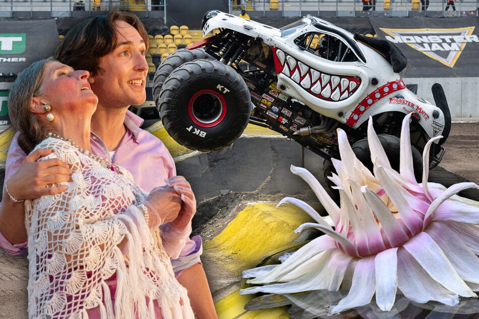 Am Sonntag noch nichts vor? Diese fünf Events warten in Magdeburg auf Euch
