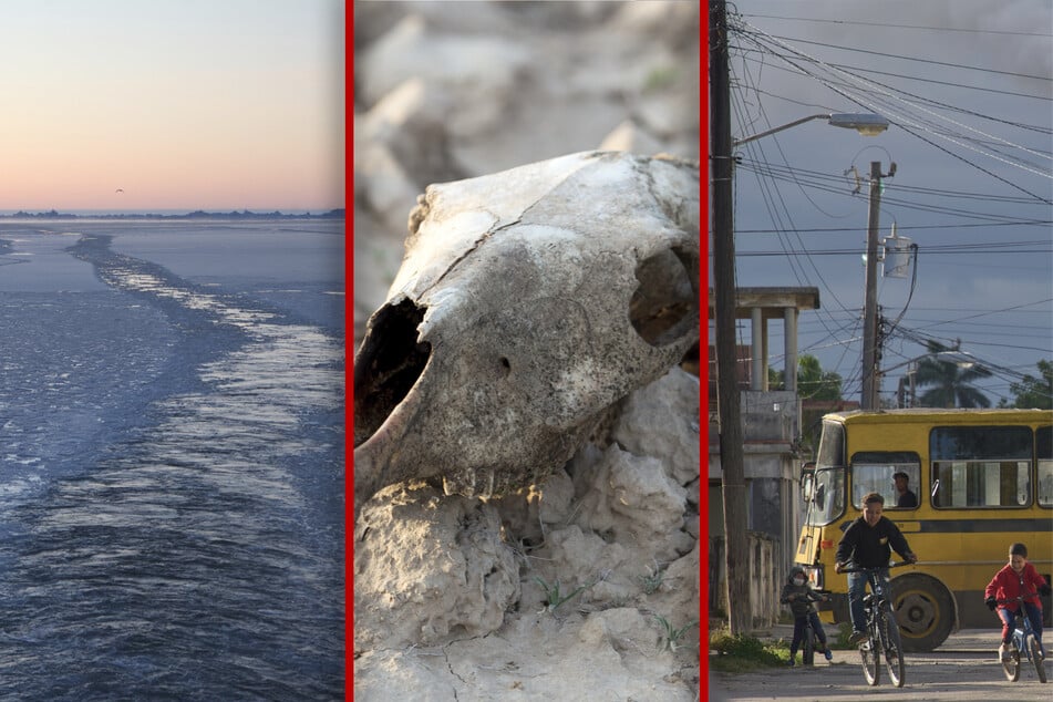 Droht die Erde bald zu verbrennen? Forscher warnen vor gewaltiger Hitzephase