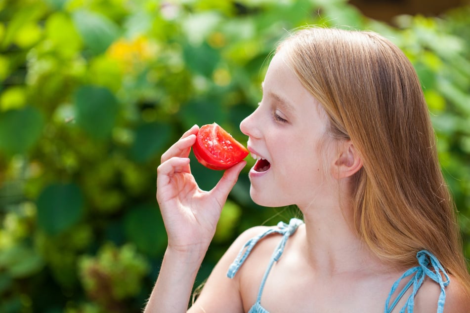Wurden Tomaten mit Salzwasser gegossen, können sie gesünder und aromatischer sein.