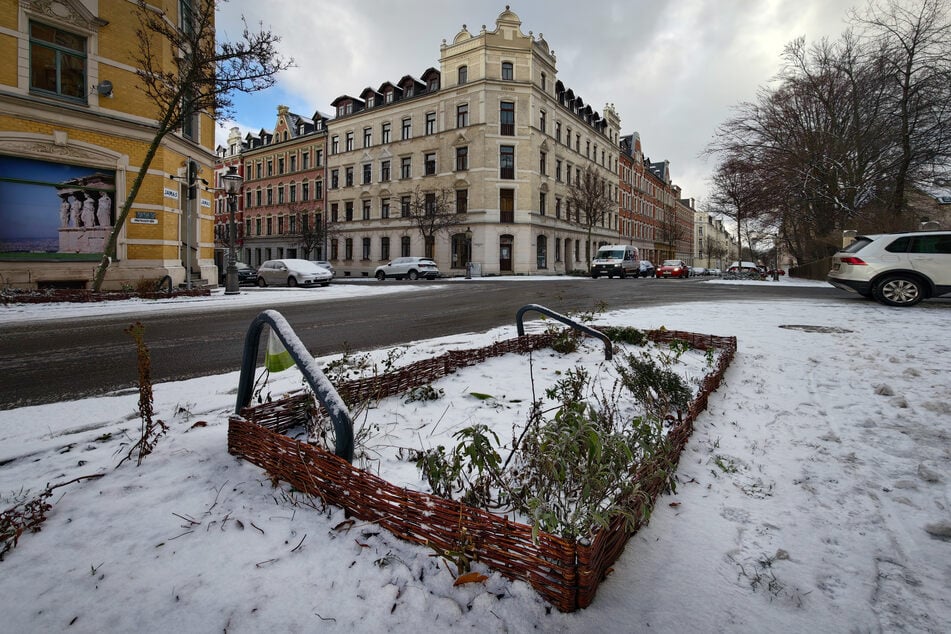 In der Markusstraße begrünt ein umzäuntes Blumenbeet eine Baumscheibe notdürftig.