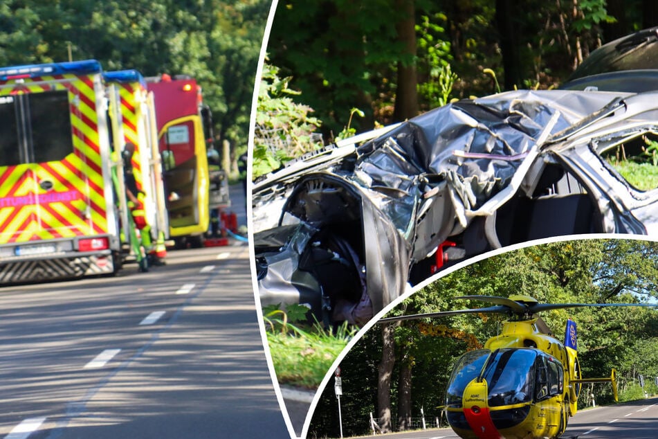 Unfall-Fluch auf Bundesstraße: Dacia zerschellt an Baumstamm - Fahrer ins Krankenhaus geflogen