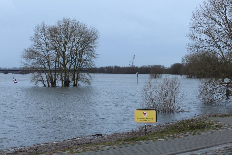 Hochwasser in Wittenberge: Das ist der aktuelle Stand