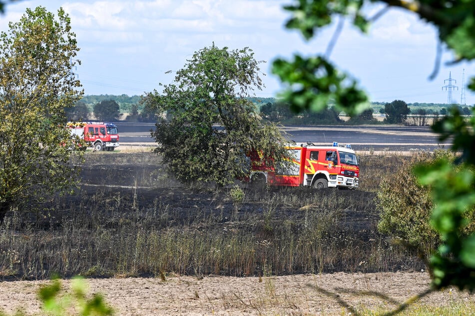 Die Feuerwehr war stundenlang im Einsatz.
