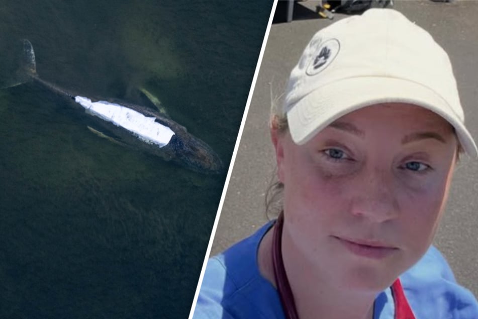 Wal-Expertin Dr. Jenna Wallace hat nach ihrer Abreise schwere Vorwürfe gegen Mitglieder des Rettungsteams von Buckelwal "Timmy" erhoben.