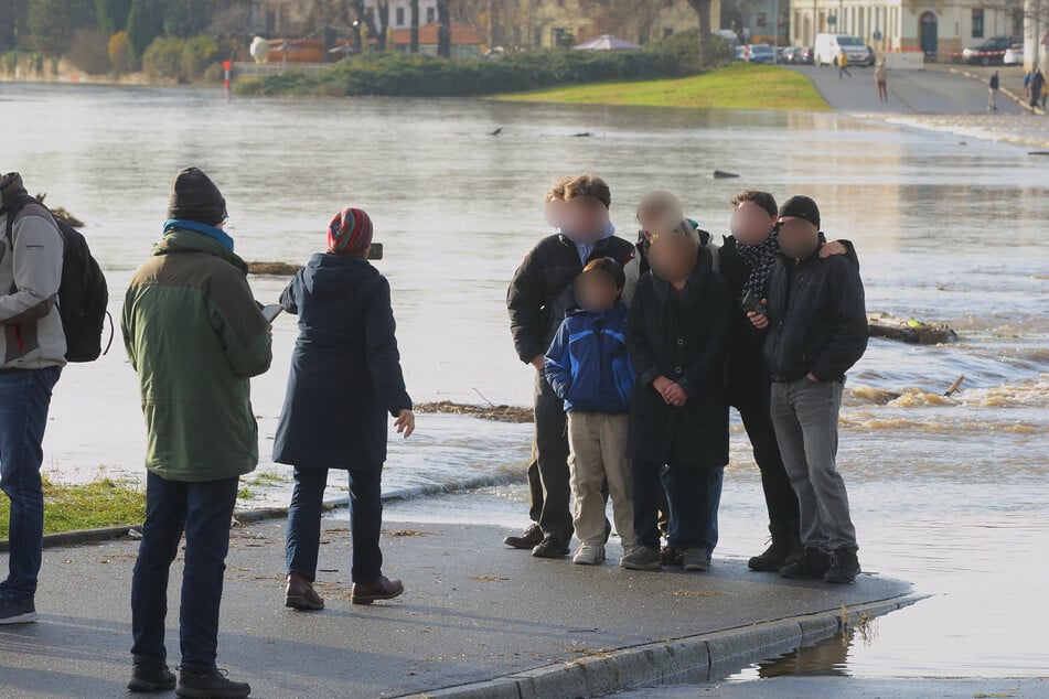 Hochwasser in Dresden lockt auch die Gaffer an