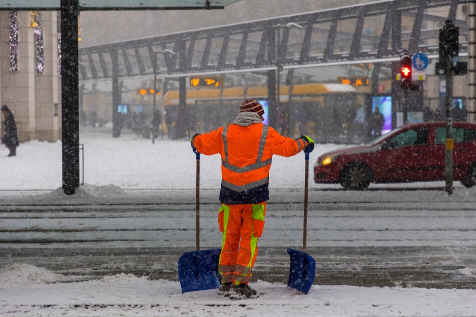 Viel mühsame Handarbeit war gefragt.